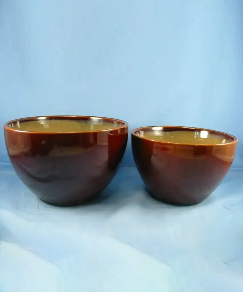 棕色 2 嵌套混合服務碗